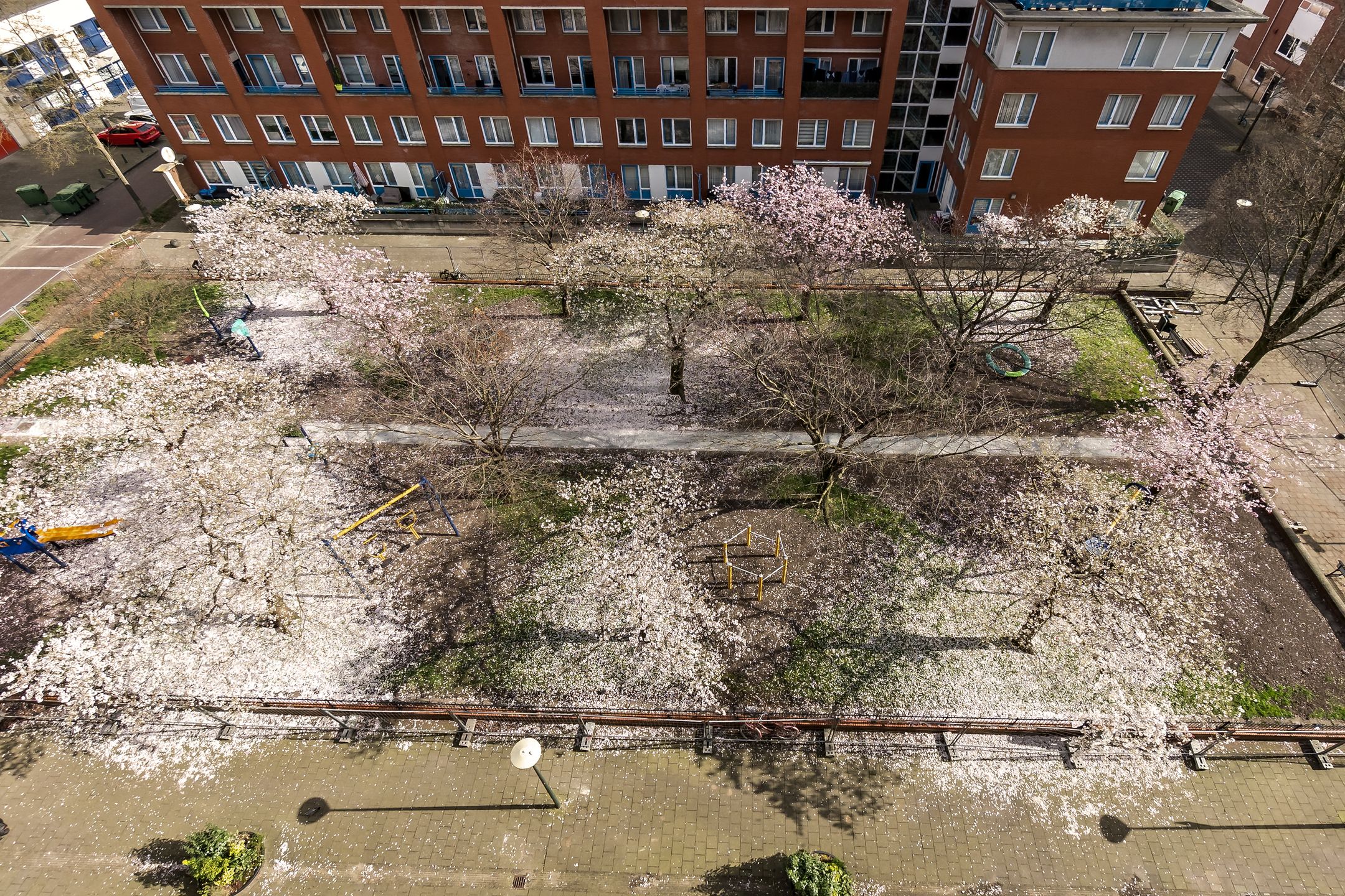 Foto 36 van Van Diesenstraat 135