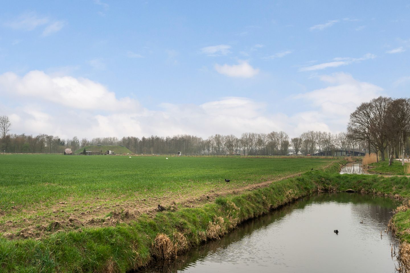Photo 49 of Singel 10