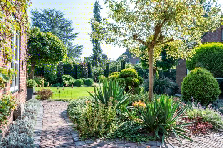 Foto 42 van Gagelveld 9