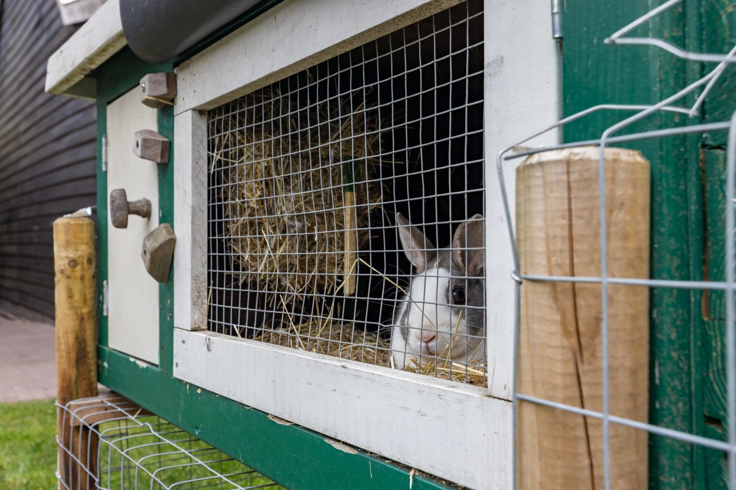 Foto 25 van Jan van Nassaustraat 7