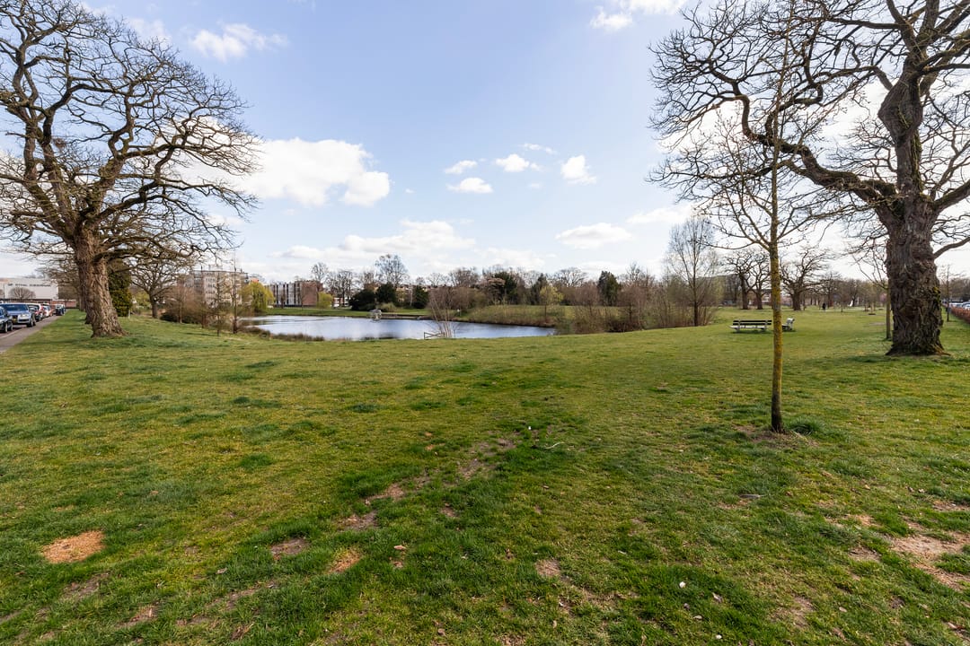 Foto 16 van Ruys de Beerenbrouckstraat 15