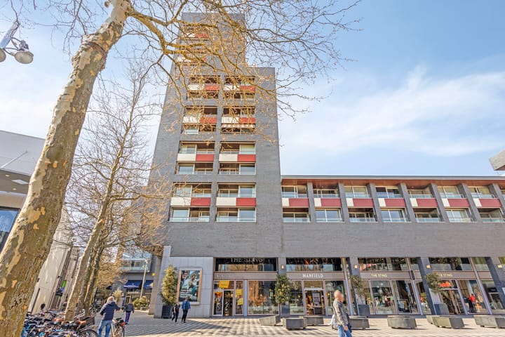 Foto 1 van Pieter Vreedeplein 74