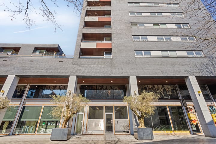 Foto 2 van Pieter Vreedeplein 74