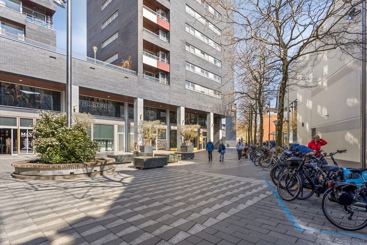 Foto 4 van Pieter Vreedeplein 74