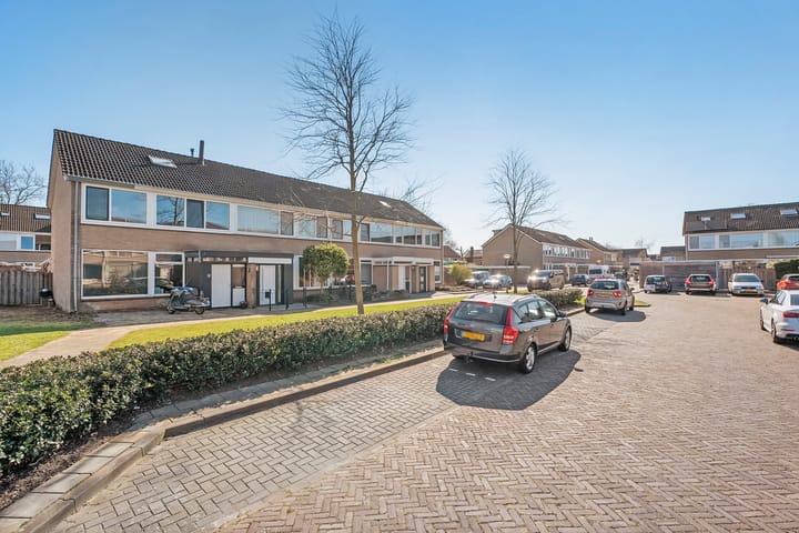 Foto 5 van Paulus Potterstraat 11