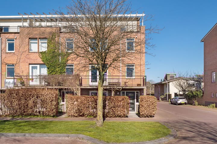 Foto 2 van Veldbeemdgras 30