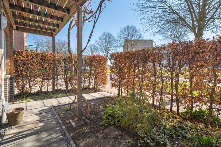 Foto 3 van Veldbeemdgras 30