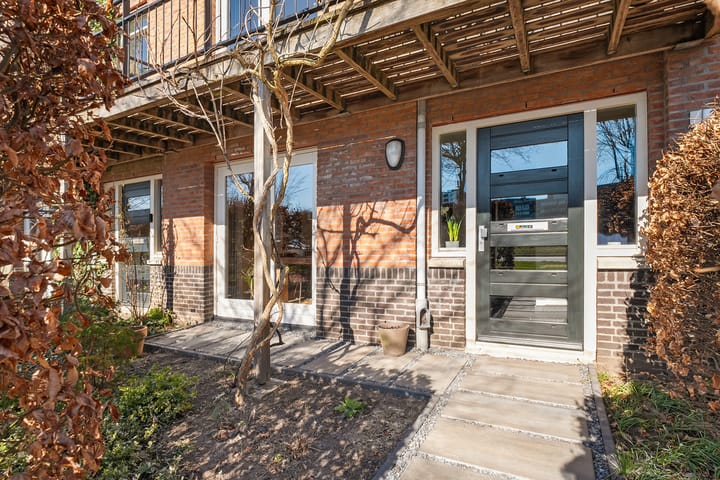 Foto 4 van Veldbeemdgras 30