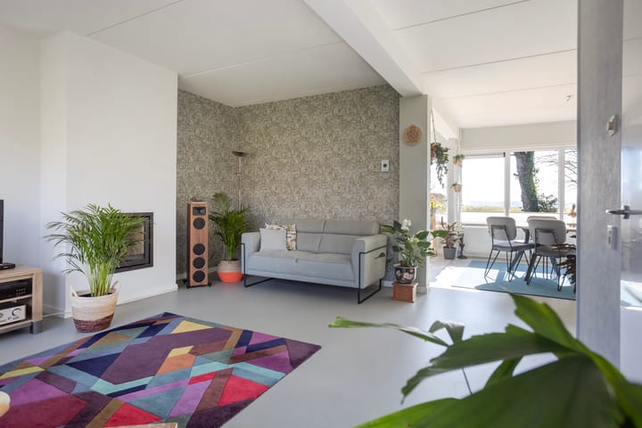 Foto 8 van de Hekken 6