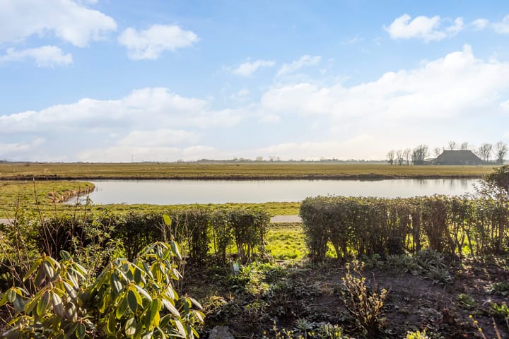 Foto 20 van de Hekken 6