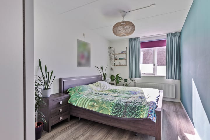 Foto 13 van Hofje van Staats 1