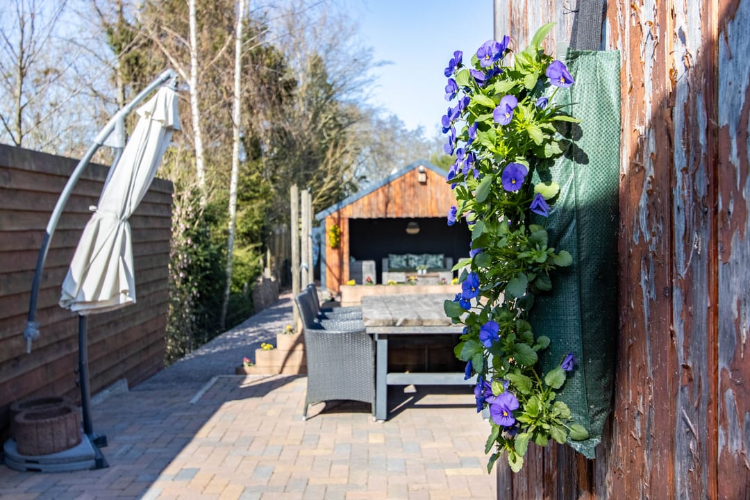 Foto 31 van Raadhuisstraat 43