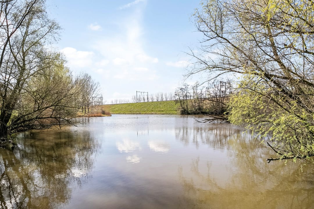 Foto 41 van Schout Dicbierlaan 43