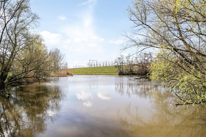 Foto 41 van Schout Dicbierlaan 43