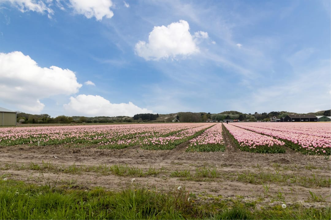 Foto 38 van Haagdoornlaan 6