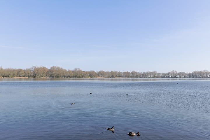 Foto 45 van Barnsteenstraat 71