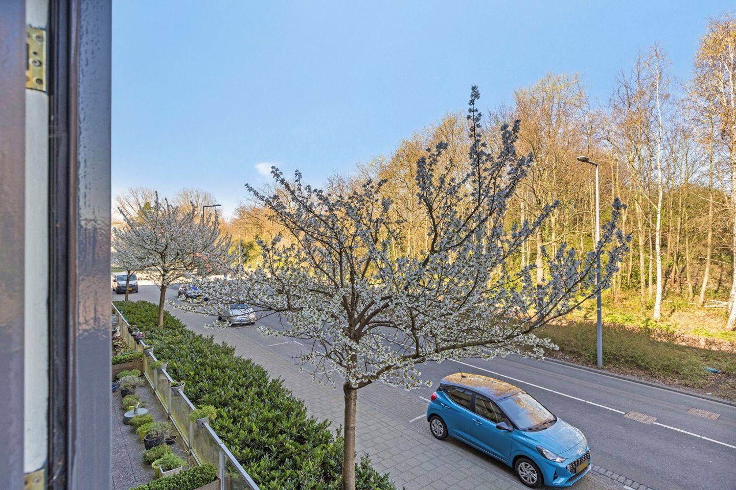 Foto 25 van Planciushof 13