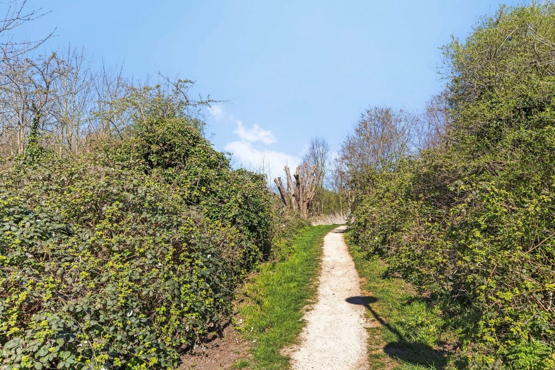 Foto 46 van Planciushof 13