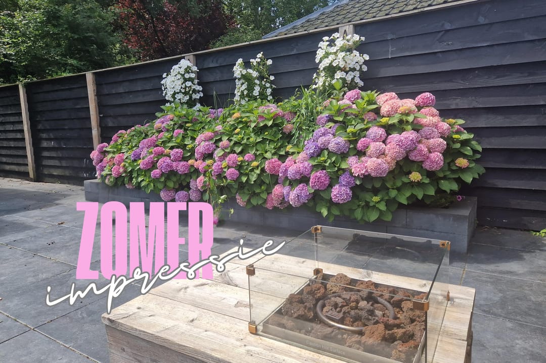 Foto 37 van Pastoor Gielenstraat 2-A