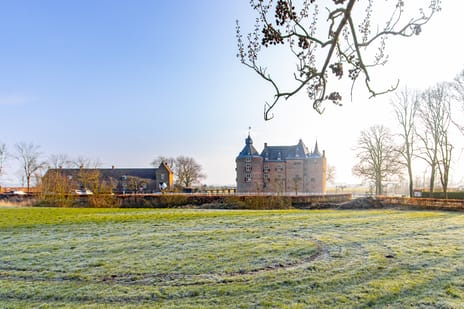 undefined main image