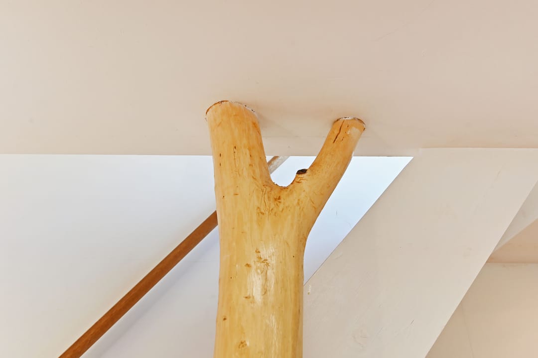 Foto 23 van Lepelstraat 19