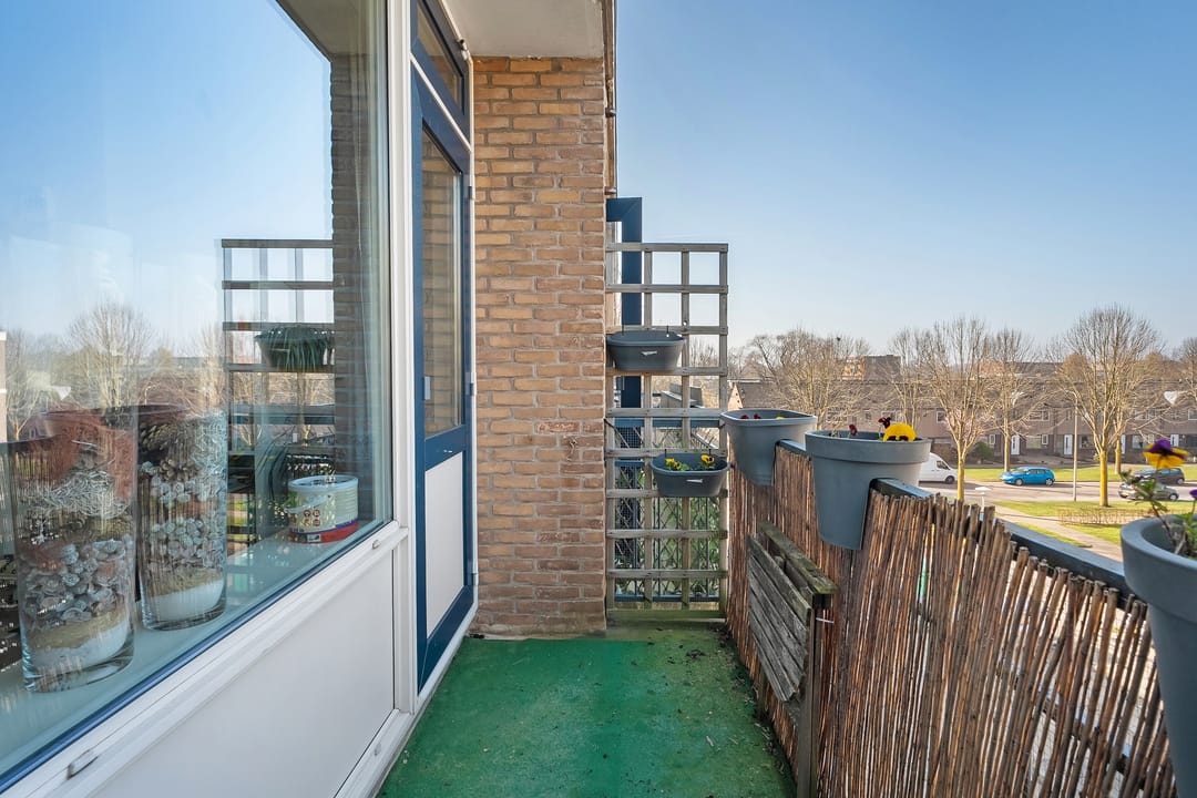 Foto 8 van Capella 30