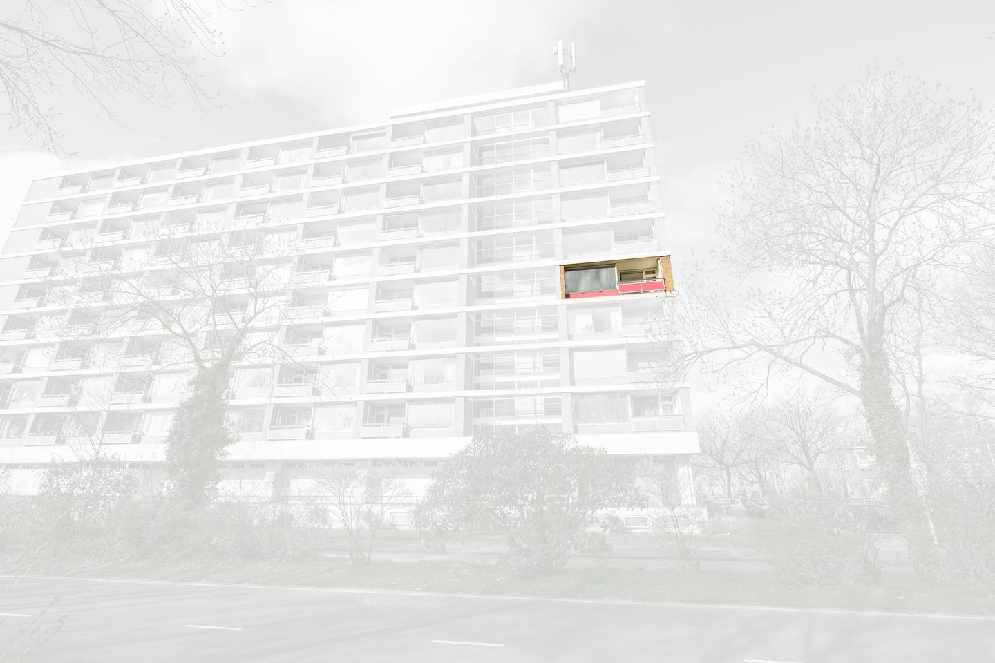 Foto 25 van Bachstraat 104