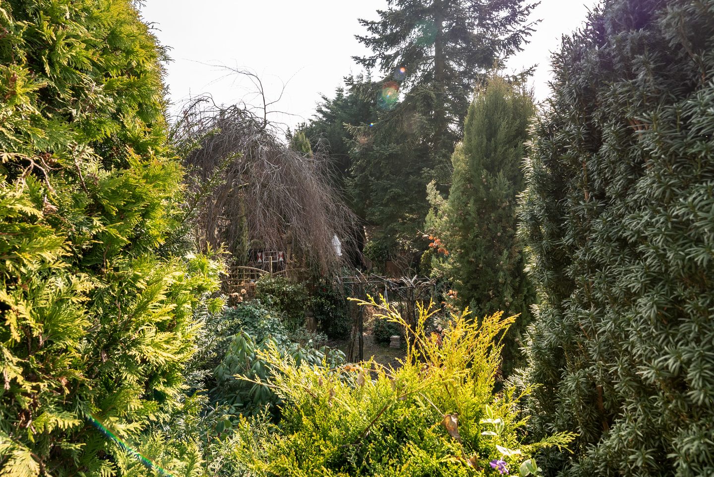 Foto 25 van Cruquiusdijk 212