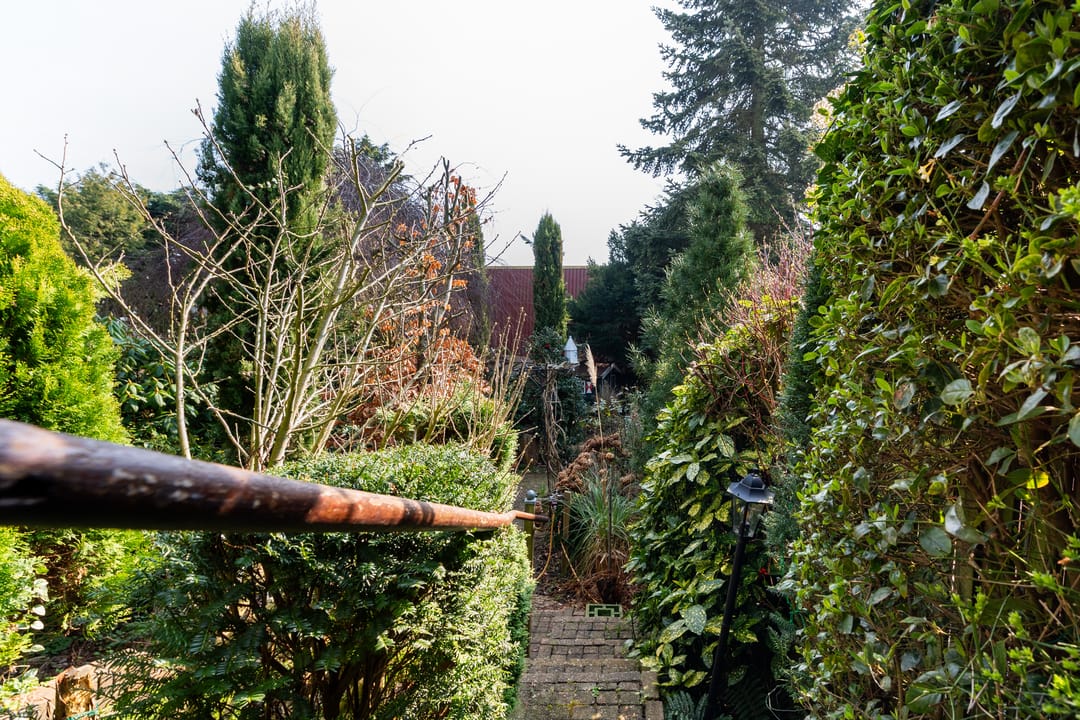 Foto 26 van Cruquiusdijk 212