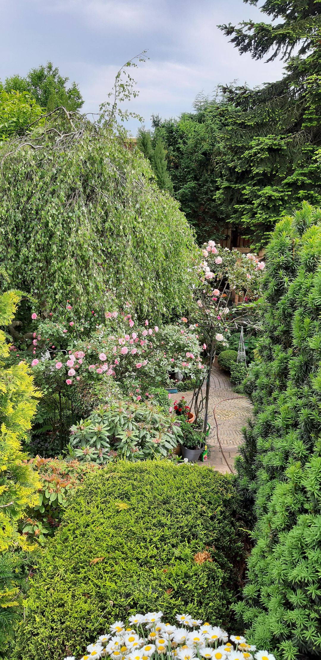 Foto 28 van Cruquiusdijk 212