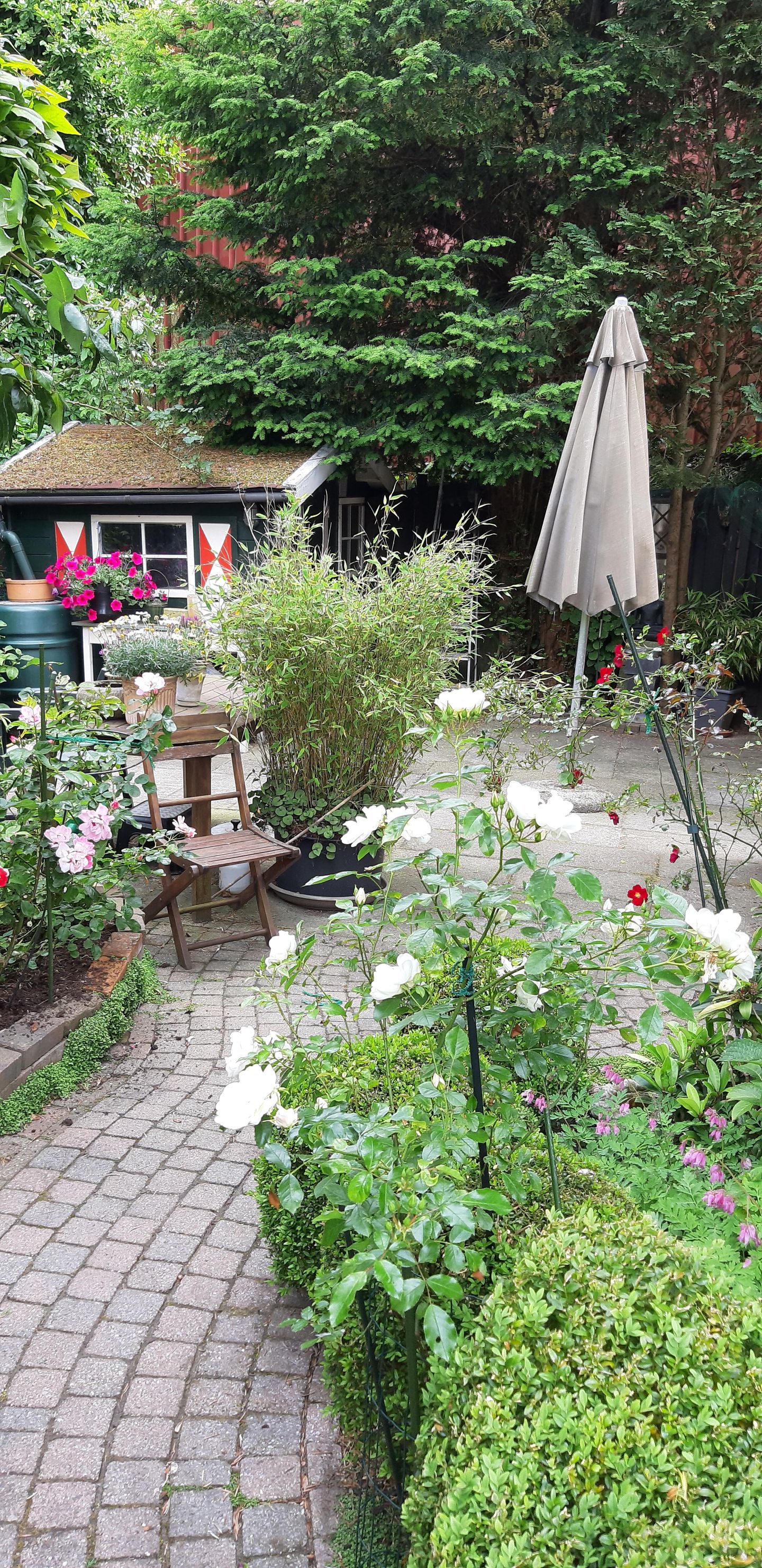 Foto 29 van Cruquiusdijk 212