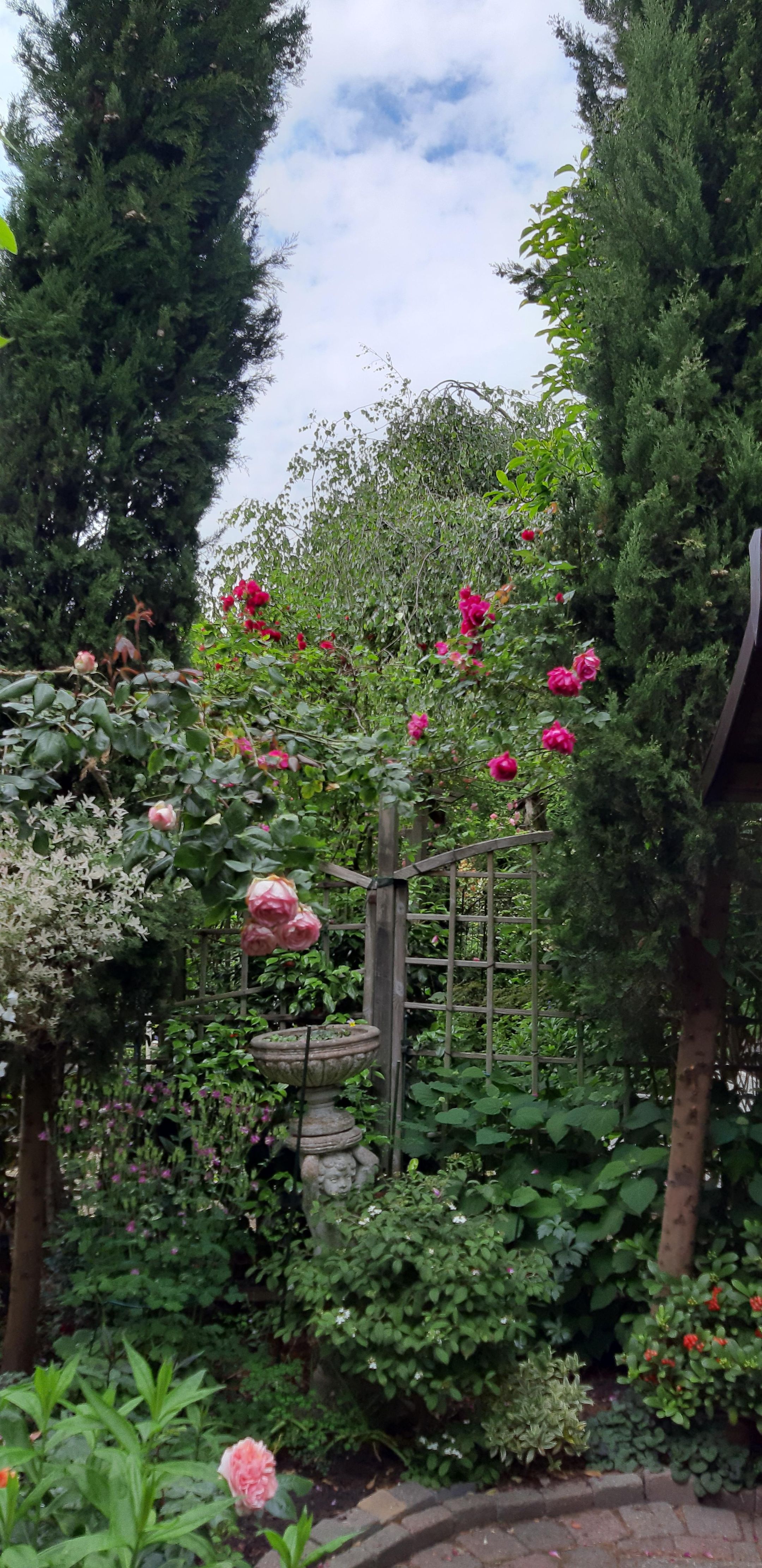 Foto 30 van Cruquiusdijk 212