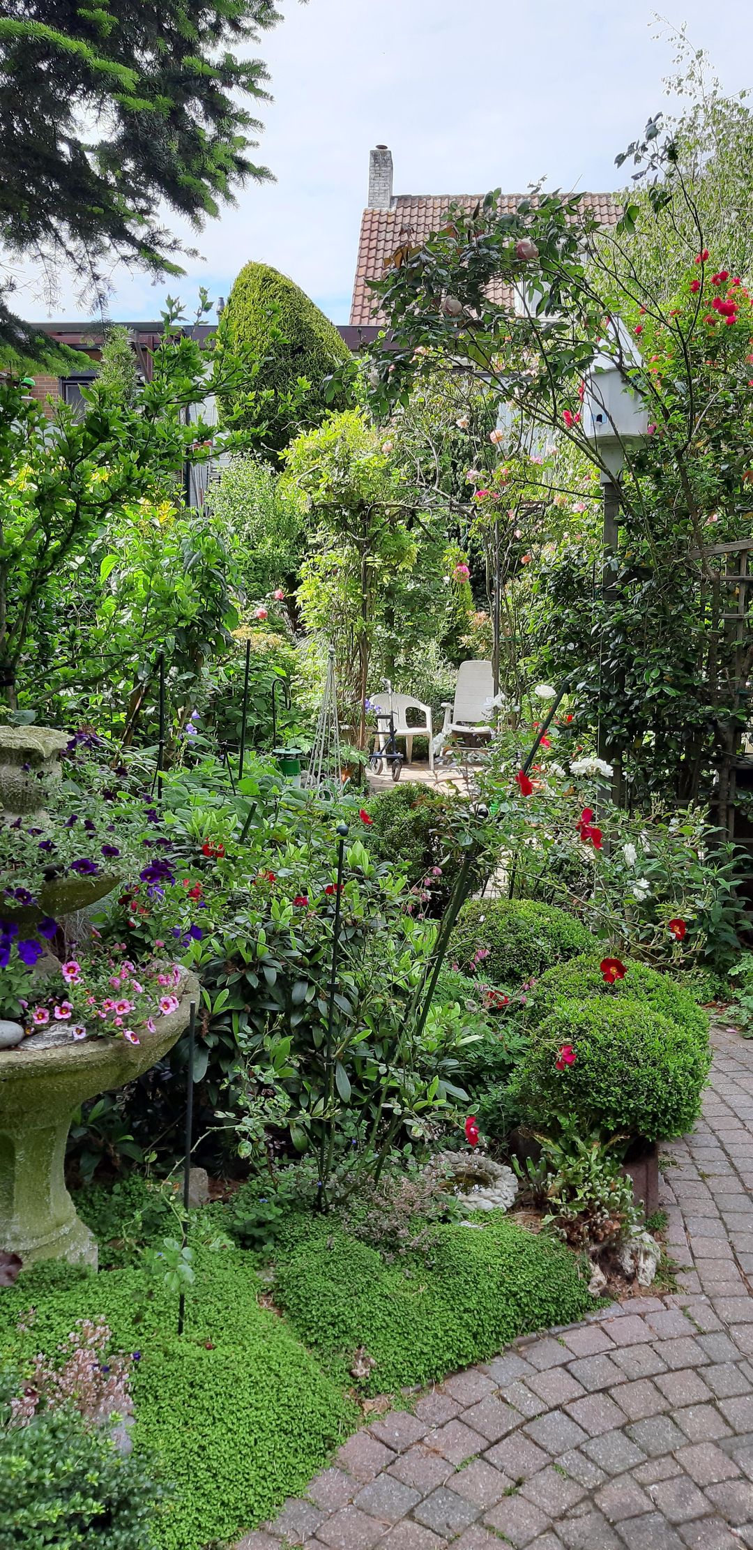 Foto 31 van Cruquiusdijk 212