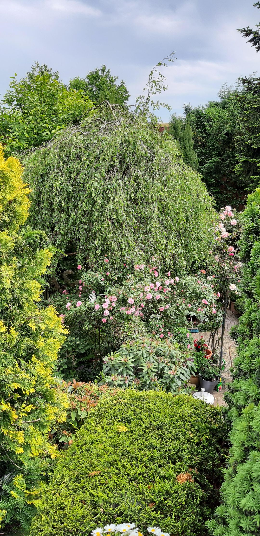 Foto 32 van Cruquiusdijk 212