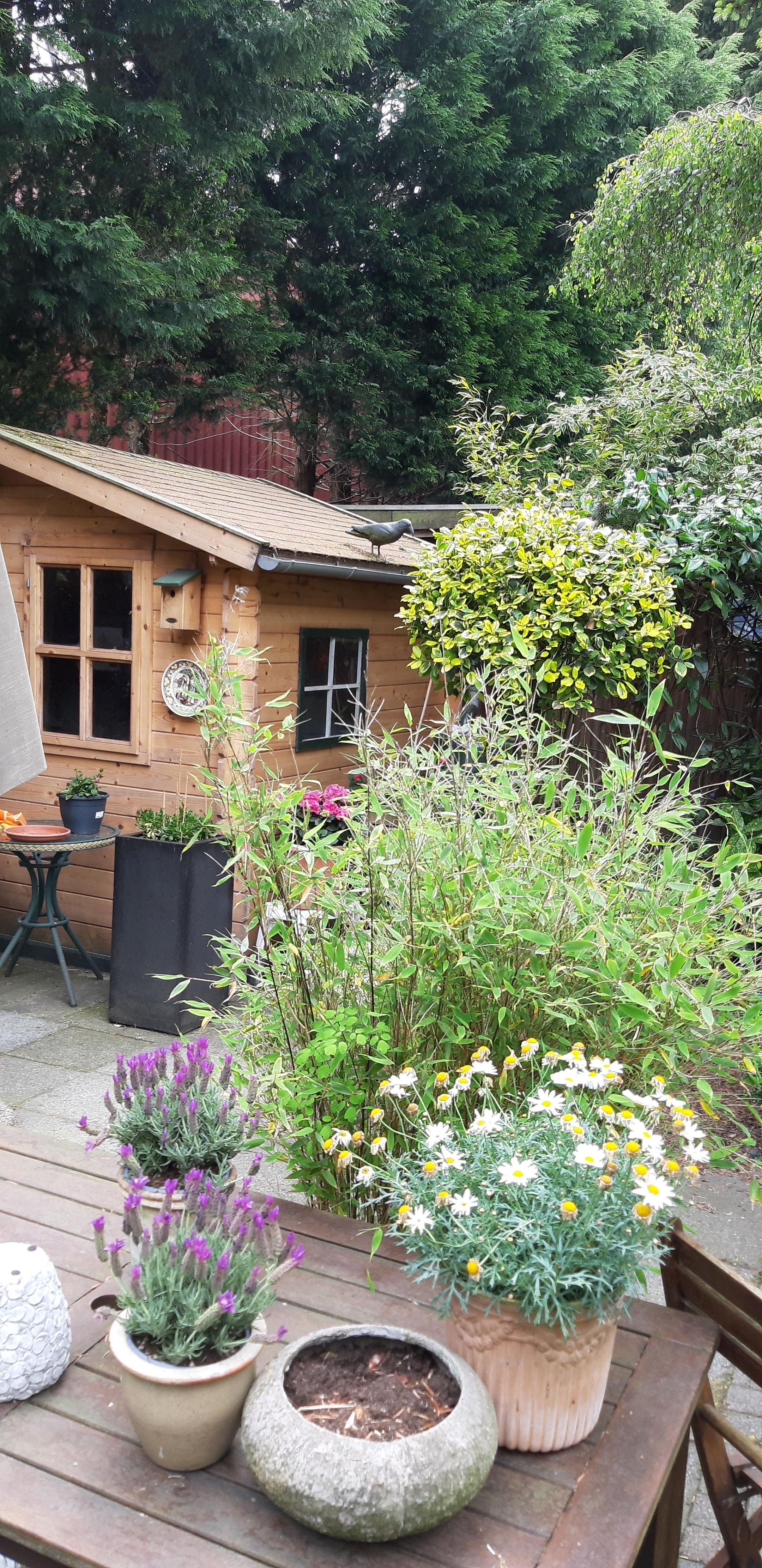 Foto 33 van Cruquiusdijk 212