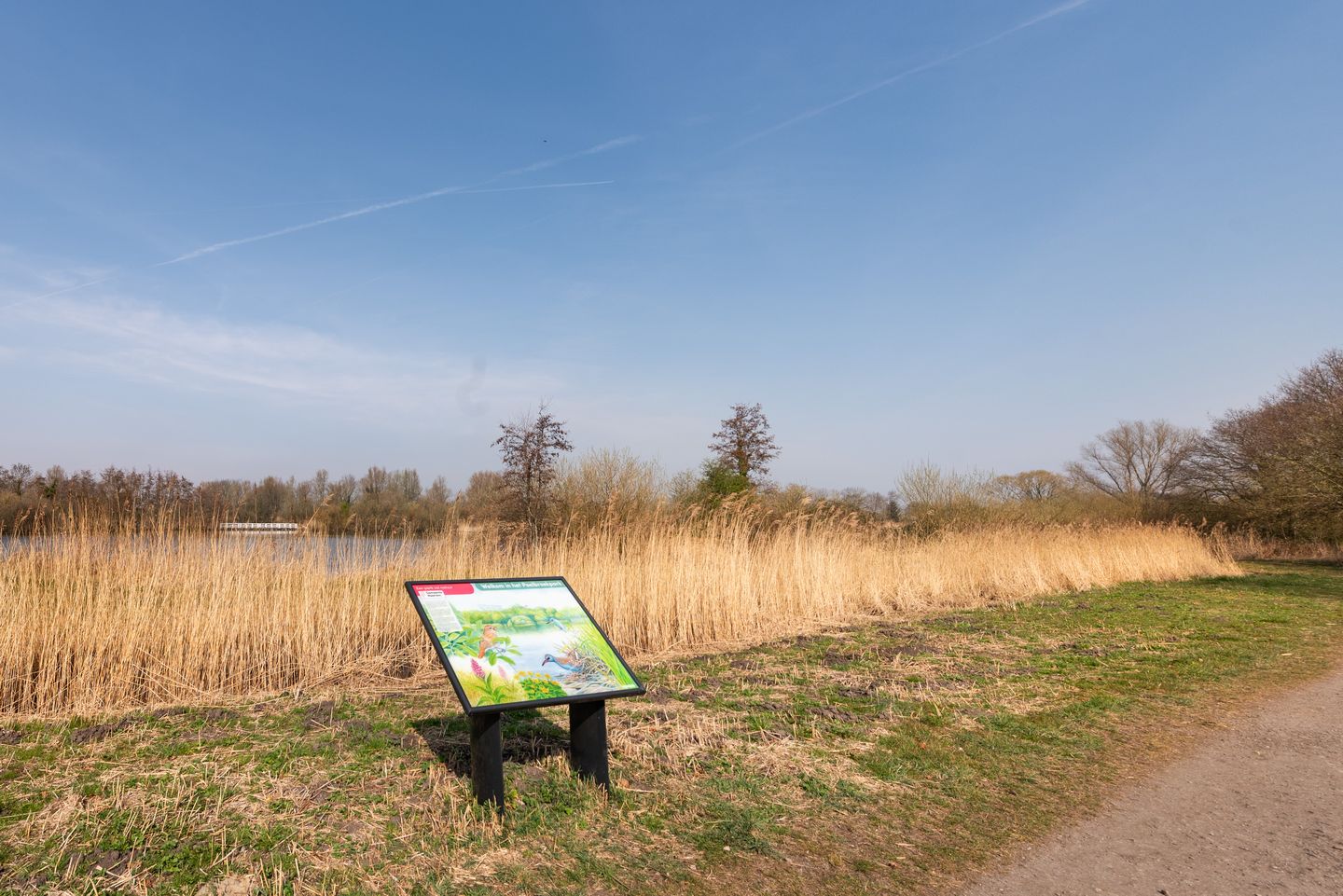 Foto 34 van Cruquiusdijk 212