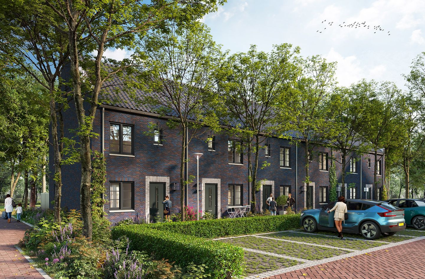 Foto 13 van De Huurlingse Terp