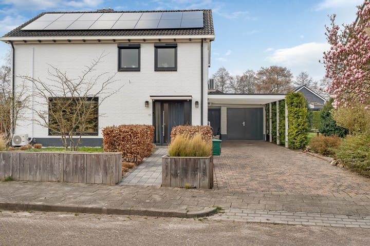 Foto 2 van Harm Tiesingstraat 1