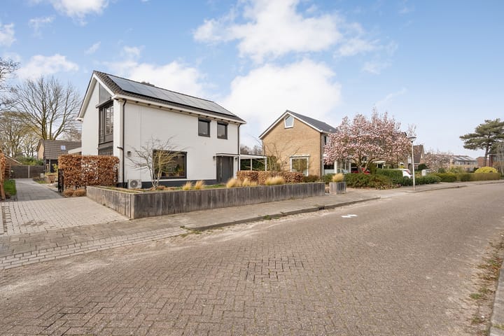 Foto 7 van Harm Tiesingstraat 1