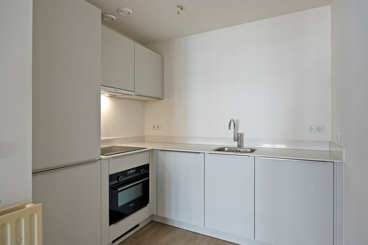 Photo 2 of Ir J.P. van Muijlwijkstraat 254