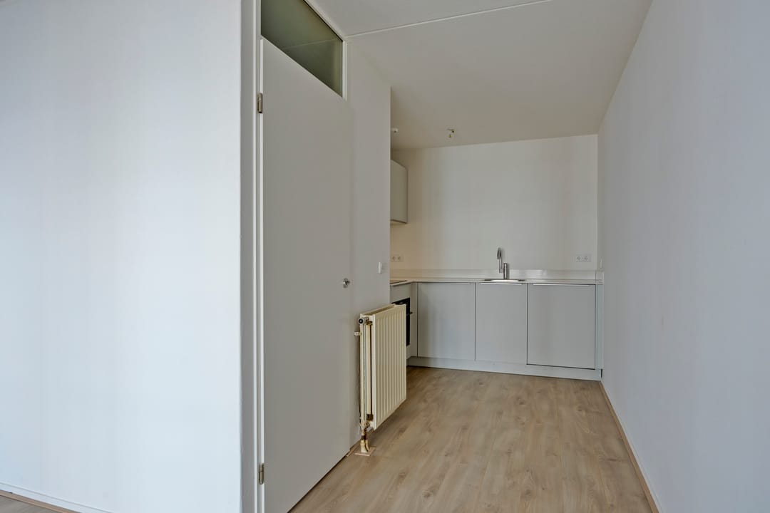 Foto 16 van Ir J.P. van Muijlwijkstraat 254