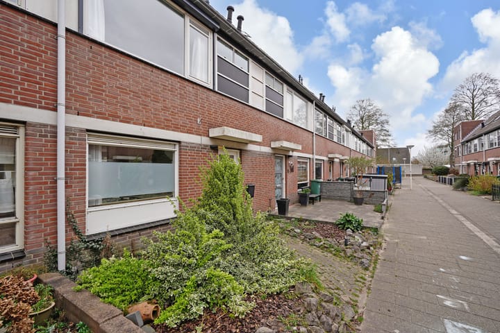 undefined main image