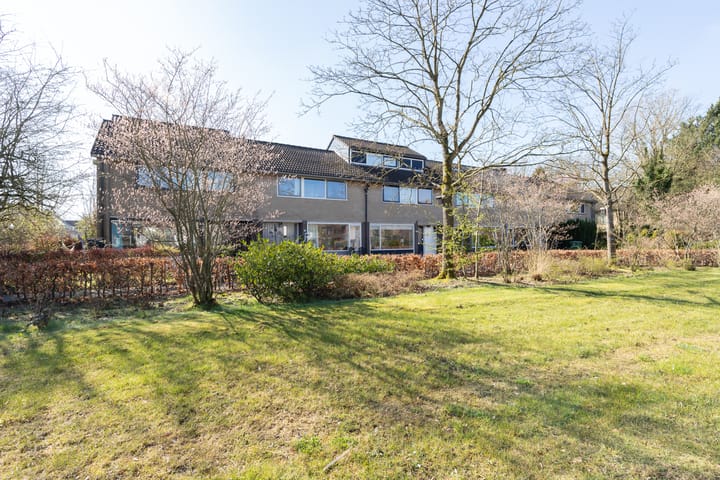 Foto 2 van Cort van der Lindenstraat 12