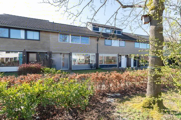 Foto 33 van Cort van der Lindenstraat 12