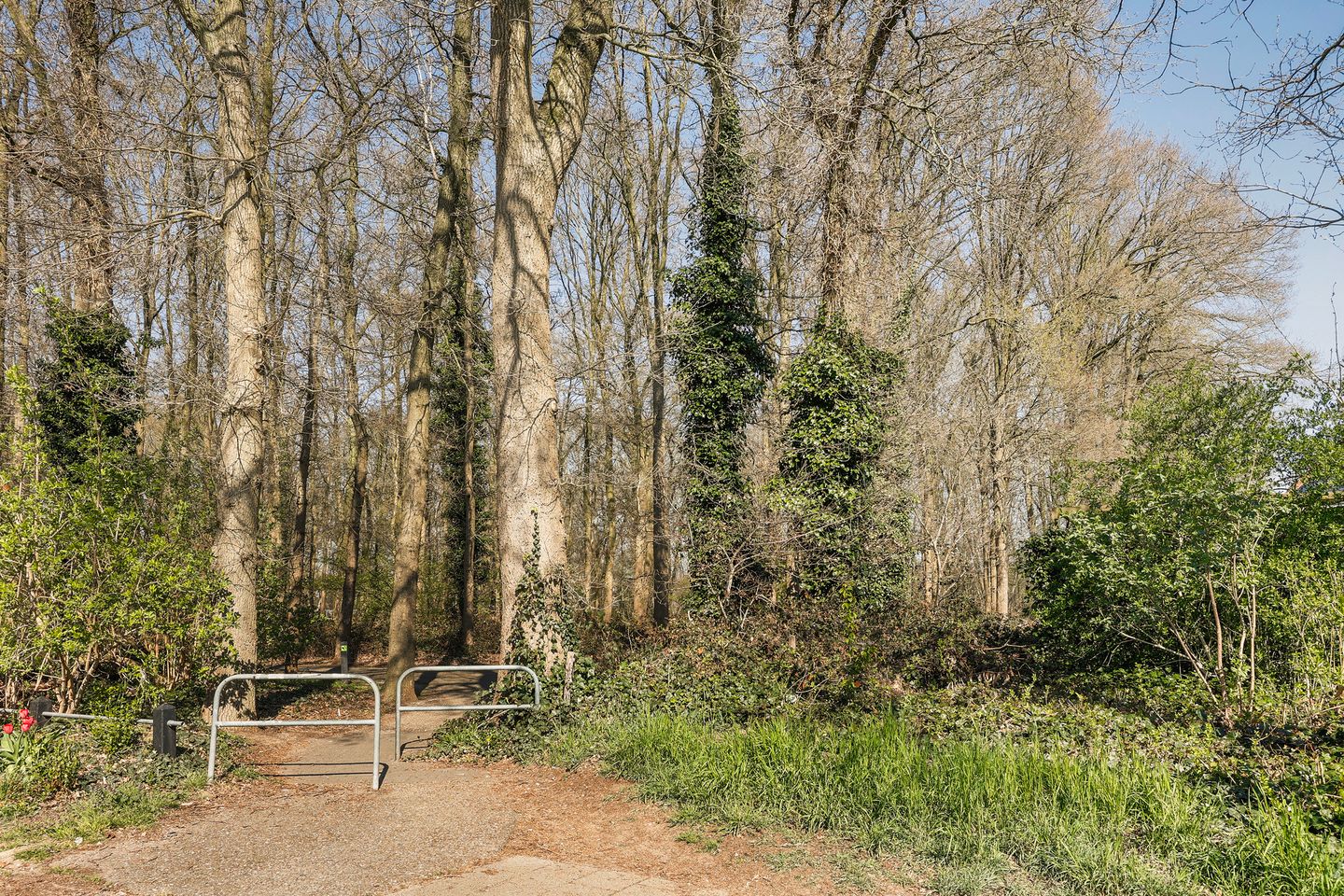 Photo 34 of Abersland 2908