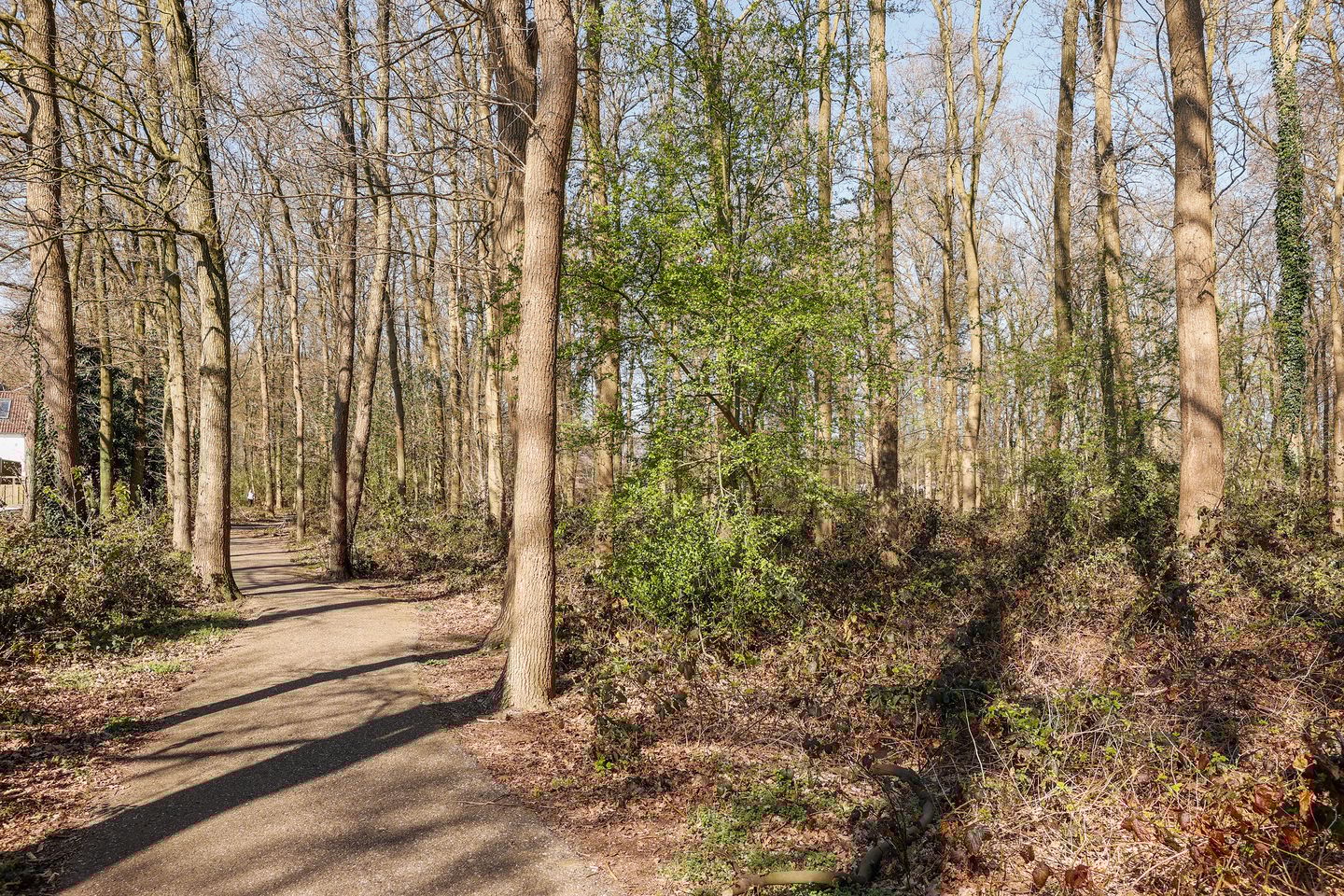 Photo 35 of Abersland 2908