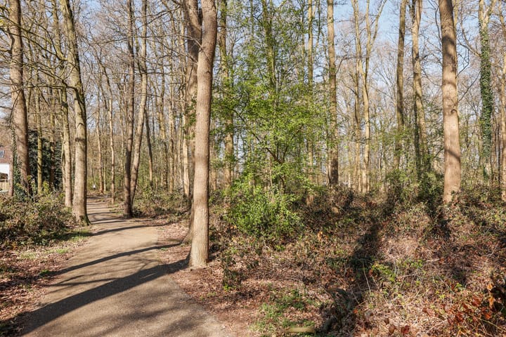 Foto 35 van Abersland 2908