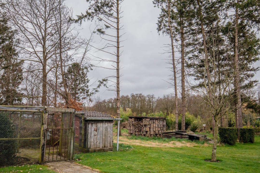 Photo 47 of Tramwijk ZZ 74