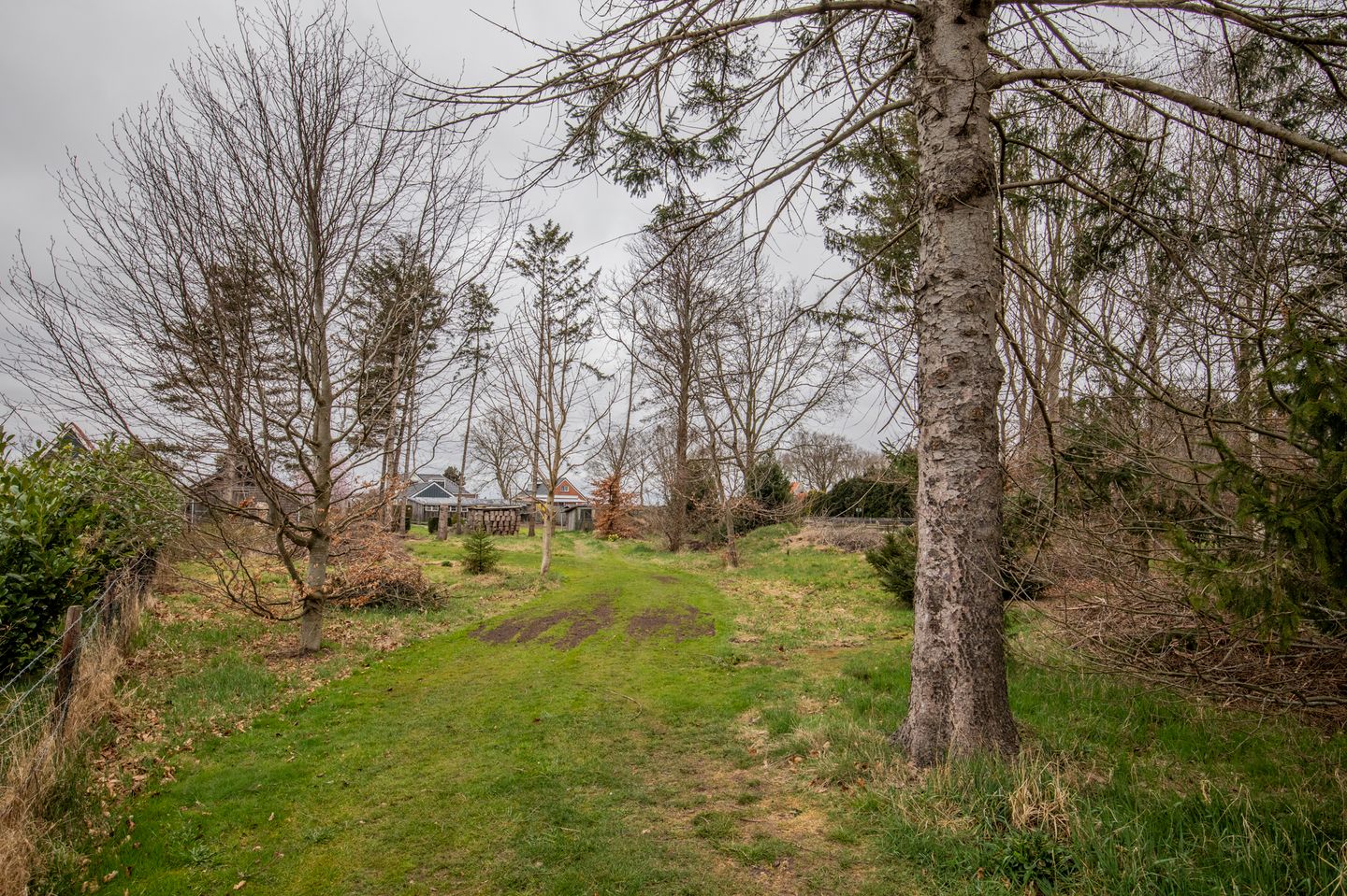 Photo 49 of Tramwijk ZZ 74