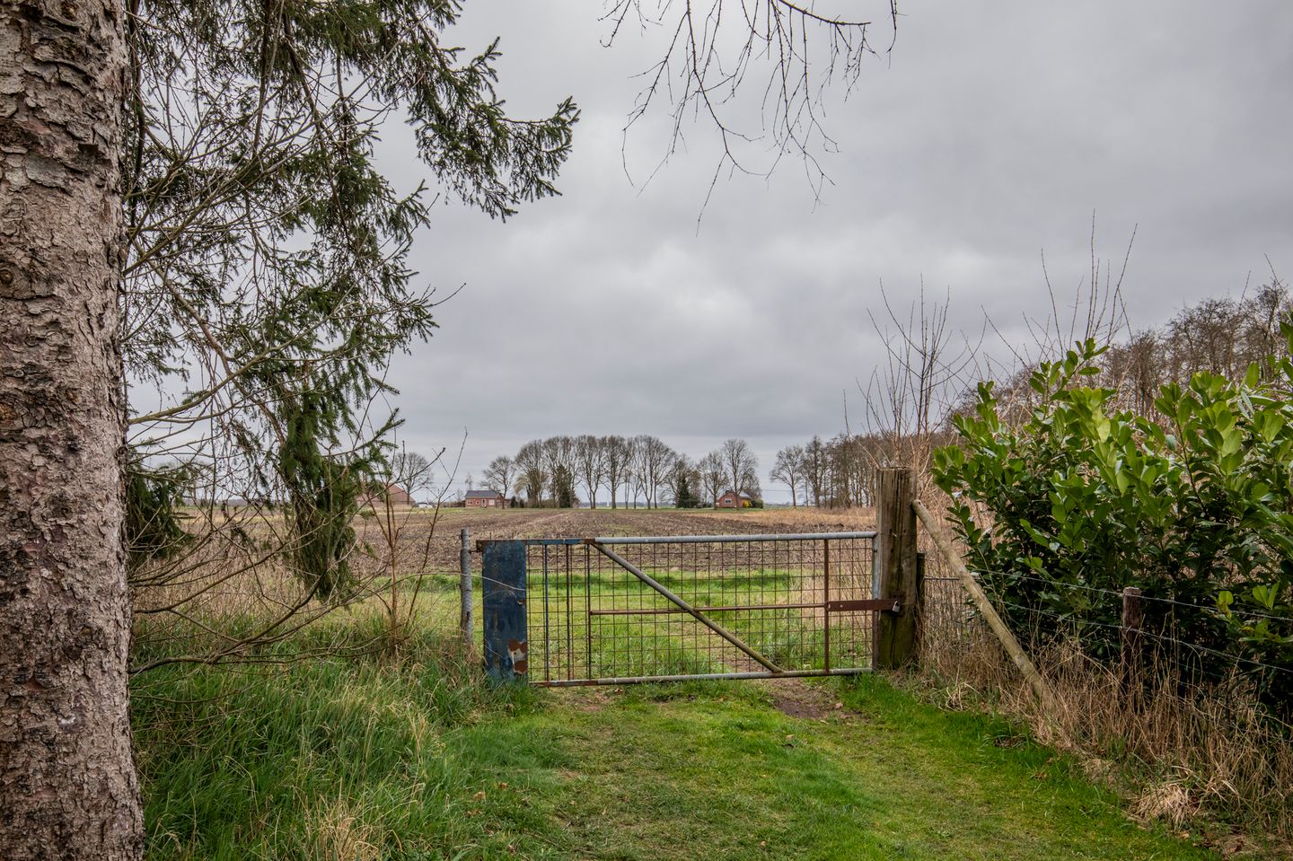 Photo 50 of Tramwijk ZZ 74